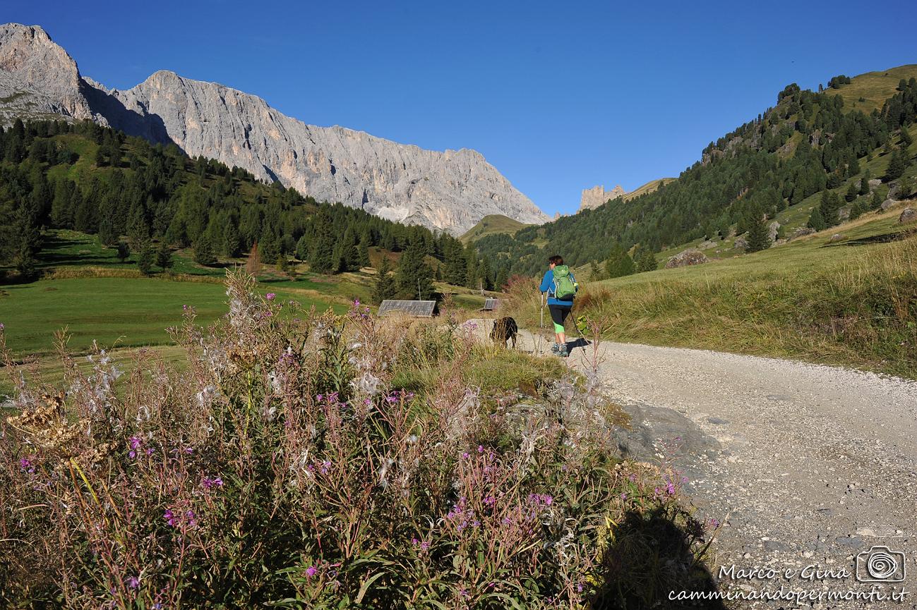 005 Val Duron Lago e Rifugio Antermoia - sentiero 532.JPG